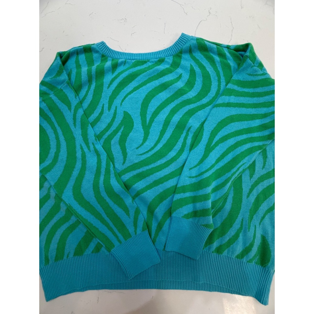 Seed To Style Women Organic Cotton Zebra Print Sweater Teal Green Large A460737